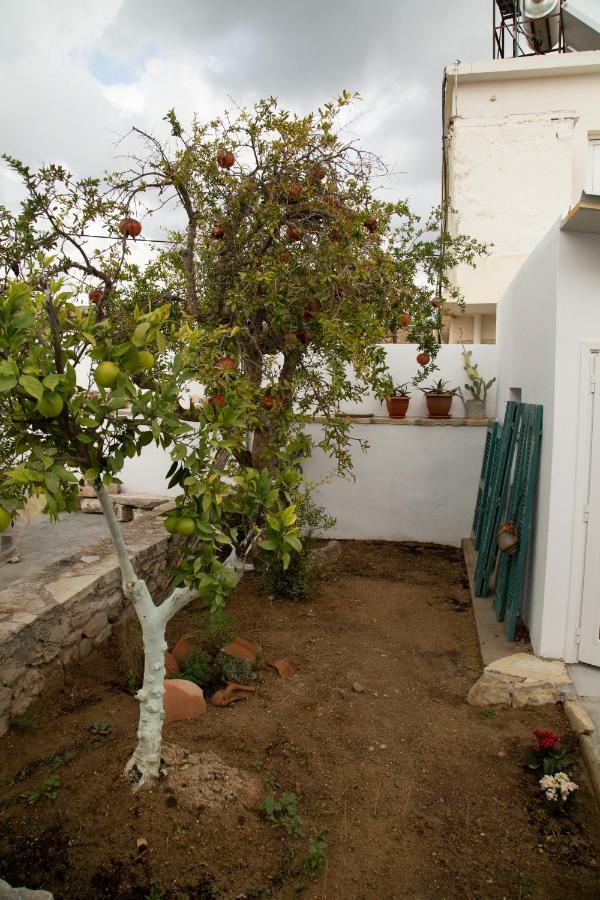 Sívas Iliopetra Houseヴィラ エクステリア 写真